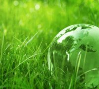 Eco Web Hosting
